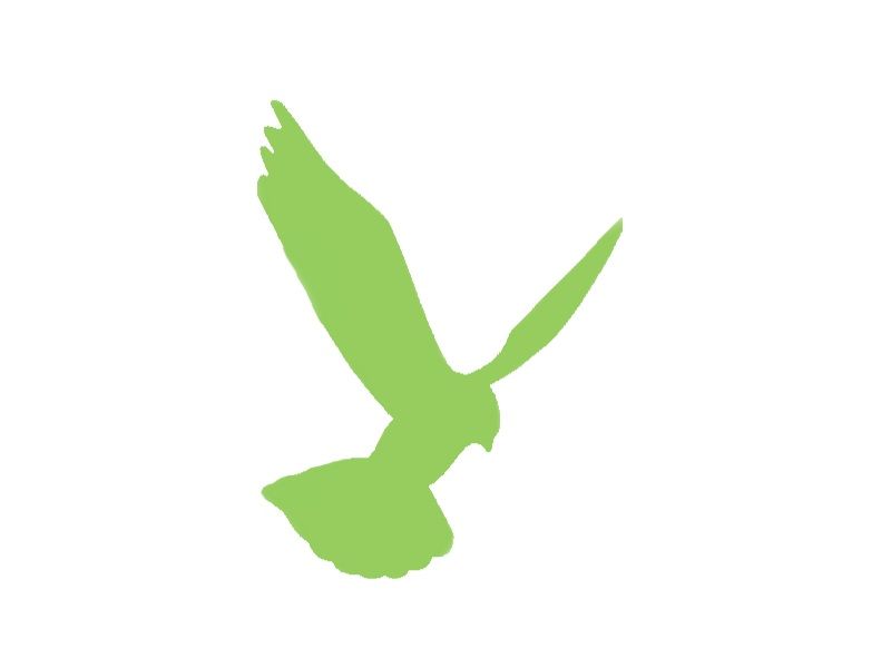 Kesfloor DPM 1 – 5KG